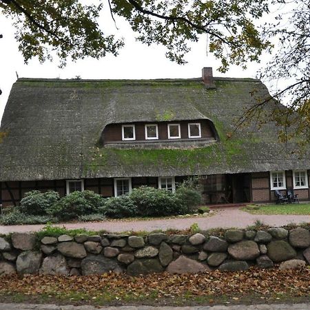 Reit- Und Bauernhof Klaucke Lägenhet Trebel Exteriör bild