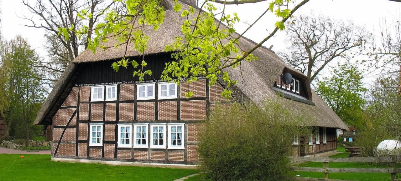Reit- Und Bauernhof Klaucke Lägenhet Trebel Exteriör bild