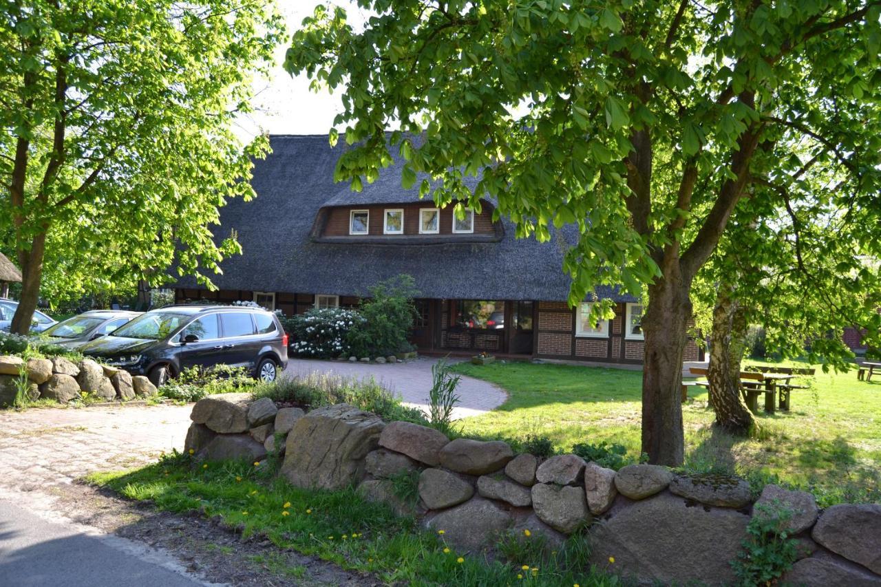 Reit- Und Bauernhof Klaucke Lägenhet Trebel Exteriör bild