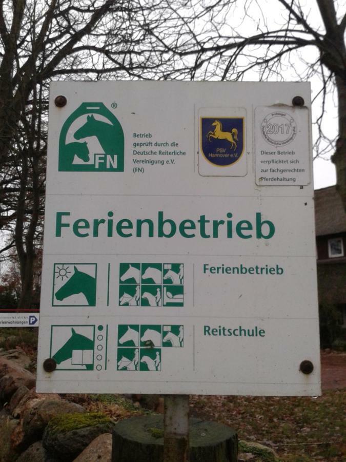 Reit- Und Bauernhof Klaucke Lägenhet Trebel Exteriör bild
